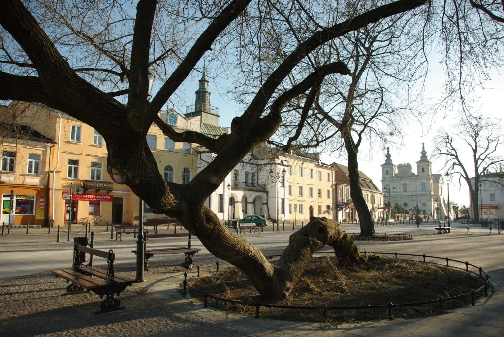 Klęczące