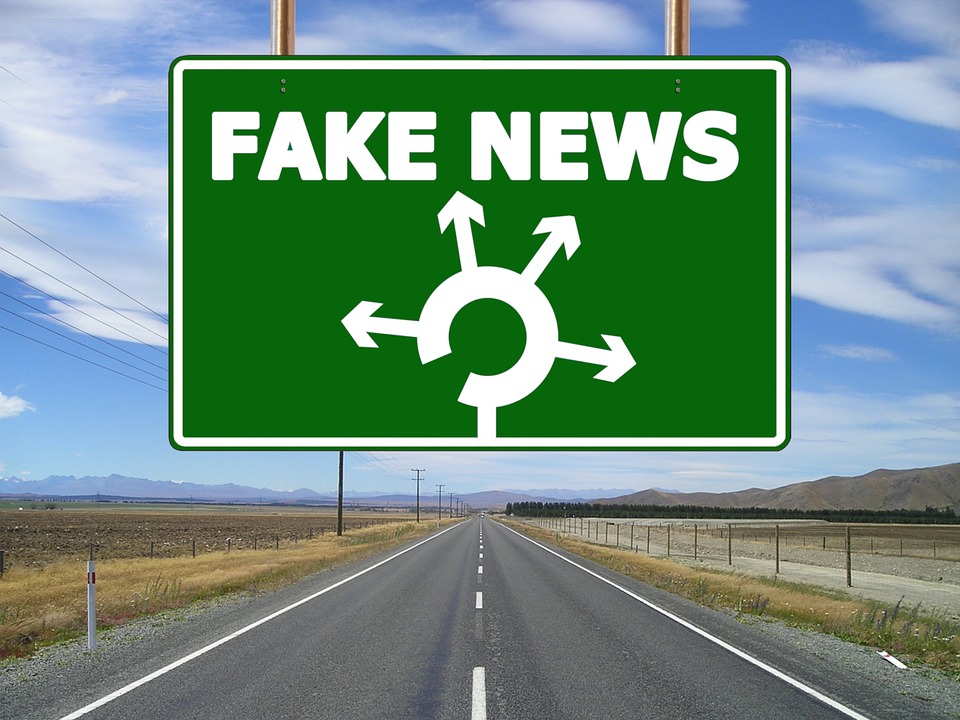 fake