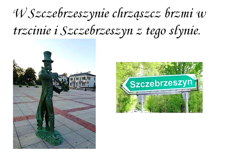 Chrząszcz: