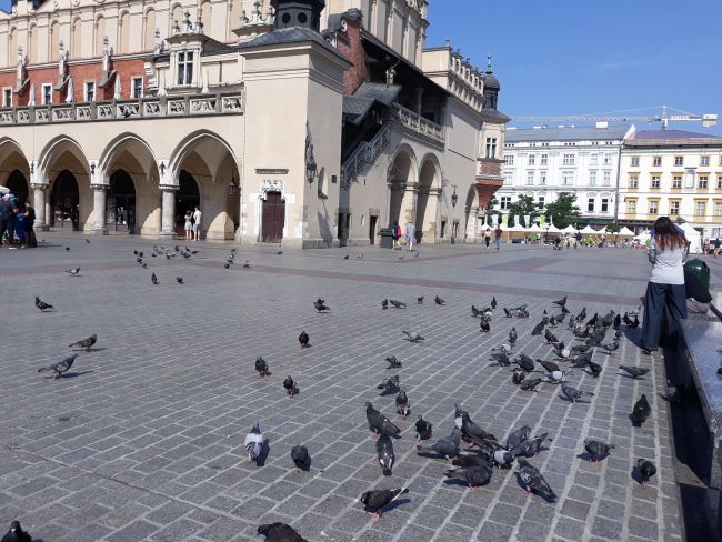 Краковская